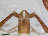 ( - BGE_00506_B02)  @11 [ ] Copyright (2024) Unspecified Croatian Biospeleological Society