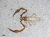  ( - BGE_00506_B02)  @11 [ ] Copyright (2024) Unspecified Croatian Biospeleological Society