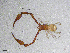  ( - BGE_00506_B03)  @11 [ ] Copyright (2024) Unspecified Croatian Biospeleological Society