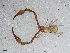  ( - BGE_00506_B03)  @11 [ ] Copyright (2024) Unspecified Croatian Biospeleological Society