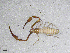  ( - BGE_00506_B04)  @11 [ ] Copyright (2024) Unspecified Croatian Biospeleological Society