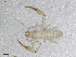  ( - BGE_00506_B05)  @11 [ ] Copyright (2024) Unspecified Croatian Biospeleological Society