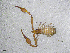  ( - BGE_00506_B10)  @11 [ ] Copyright (2024) Unspecified Croatian Biospeleological Society