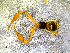  ( - BGE_00506_C02)  @11 [ ] Copyright (2024) Unspecified Croatian Biospeleological Society
