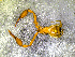  ( - BGE_00506_C02)  @11 [ ] Copyright (2024) Unspecified Croatian Biospeleological Society