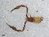  ( - BGE_00506_C04)  @11 [ ] Copyright (2024) Unspecified Croatian Biospeleological Society