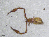  ( - BGE_00506_C04)  @11 [ ] Copyright (2024) Unspecified Croatian Biospeleological Society