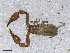  ( - BGE_00506_C05)  @11 [ ] Copyright (2024) Unspecified Croatian Biospeleological Society