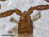  ( - BGE_00506_C06)  @11 [ ] Copyright (2024) Unspecified Croatian Biospeleological Society