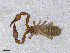  ( - BGE_00506_C06)  @11 [ ] Copyright (2024) Unspecified Croatian Biospeleological Society