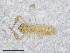 ( - BGE_00502_D01)  @11 [ ] Copyright (2024) Unspecified Croatian Biospeleological Society