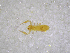  ( - BGE_00502_D02)  @11 [ ] Copyright (2024) Unspecified Croatian Biospeleological Society
