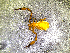  ( - BGE_00506_C07)  @11 [ ] Copyright (2024) Unspecified Croatian Biospeleological Society