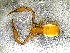  ( - BGE_00506_C08)  @11 [ ] Copyright (2024) Unspecified Croatian Biospeleological Society