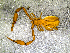  ( - BGE_00506_C08)  @11 [ ] Copyright (2024) Unspecified Croatian Biospeleological Society