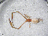  ( - BGE_00506_C10)  @11 [ ] Copyright (2024) Unspecified Croatian Biospeleological Society