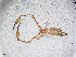 ( - BGE_00506_C10)  @11 [ ] Copyright (2024) Unspecified Croatian Biospeleological Society