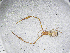  ( - BGE_00506_D02)  @11 [ ] Copyright (2024) Unspecified Croatian Biospeleological Society