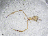  ( - BGE_00506_D02)  @11 [ ] Copyright (2024) Unspecified Croatian Biospeleological Society