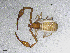  ( - BGE_00506_D03)  @11 [ ] Copyright (2024) Unspecified Croatian Biospeleological Society