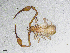  ( - BGE_00506_D03)  @11 [ ] Copyright (2024) Unspecified Croatian Biospeleological Society