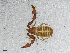  ( - BGE_00506_D04)  @11 [ ] Copyright (2024) Unspecified Croatian Biospeleological Society