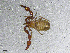  ( - BGE_00506_D04)  @11 [ ] Copyright (2024) Unspecified Croatian Biospeleological Society