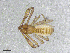  ( - BGE_00506_D07)  @11 [ ] Copyright (2030) Unspecified Croatian Biospeleological Society