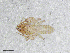  ( - BGE_00506_D11)  @11 [ ] Copyright (2024) Unspecified Croatian Biospeleological Society