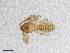  ( - BGE_00506_D12)  @11 [ ] Copyright (2024) Unspecified Croatian Biospeleological Society