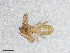  ( - BGE_00506_D12)  @11 [ ] Copyright (2024) Unspecified Croatian Biospeleological Society