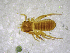  ( - BGE_00502_D04)  @11 [ ] Copyright (2024) Unspecified Croatian Biospeleological Society
