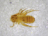  ( - BGE_00502_D04)  @11 [ ] Copyright (2024) Unspecified Croatian Biospeleological Society