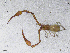  ( - BGE_00506_F05)  @11 [ ] Copyright (2024) Unspecified Croatian Biospeleological Society