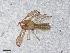  ( - BGE_00506_F08)  @11 [ ] Copyright (2024) Unspecified Croatian Biospeleological Society
