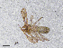  ( - BGE_00506_F08)  @11 [ ] Copyright (2024) Unspecified Croatian Biospeleological Society