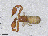  ( - BGE_00506_F11)  @11 [ ] Copyright (2024) Unspecified Croatian Biospeleological Society