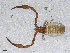  ( - BGE_00506_G12)  @11 [ ] Copyright (2024) Unspecified Croatian Biospeleological Society