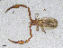  ( - BGE_00506_G12)  @11 [ ] Copyright (2024) Unspecified Croatian Biospeleological Society