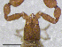  ( - BGE_00506_H02)  @11 [ ] Copyright (2024) Unspecified Croatian Biospeleological Society