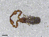 ( - BGE_00506_H03)  @11 [ ] Copyright (2024) Unspecified Croatian Biospeleological Society