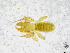  ( - BGE_00502_D06)  @11 [ ] Copyright (2024) Unspecified Croatian Biospeleological Society