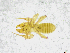  ( - BGE_00502_D06)  @11 [ ] Copyright (2024) Unspecified Croatian Biospeleological Society