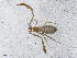  ( - BGE_00506_H07)  @11 [ ] Copyright (2024) Unspecified Croatian Biospeleological Society