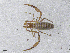  ( - BGE_00506_H08)  @11 [ ] Copyright (2024) Unspecified Croatian Biospeleological Society