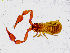  ( - BGE_00508_A01)  @11 [ ] Copyright (2025) Unspecified Croatian Biospeleological Society