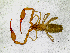  ( - BGE_00508_A06)  @11 [ ] Copyright (2025) Unspecified Croatian Biospeleological Society