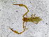  ( - BGE_00508_A07)  @11 [ ] Copyright (2025) Unspecified Croatian Biospeleological Society