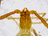  ( - BGE_00508_A08)  @11 [ ] Copyright (2025) Unspecified Croatian Biospeleological Society