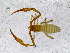  ( - BGE_00508_A08)  @11 [ ] Copyright (2025) Unspecified Croatian Biospeleological Society
